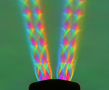 研究者の道へと誘った人との出会い