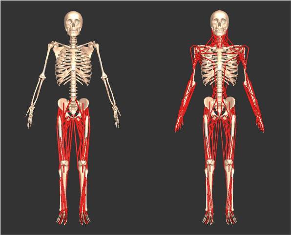 MSDを防ぐにはどうすればよいでしょうか?