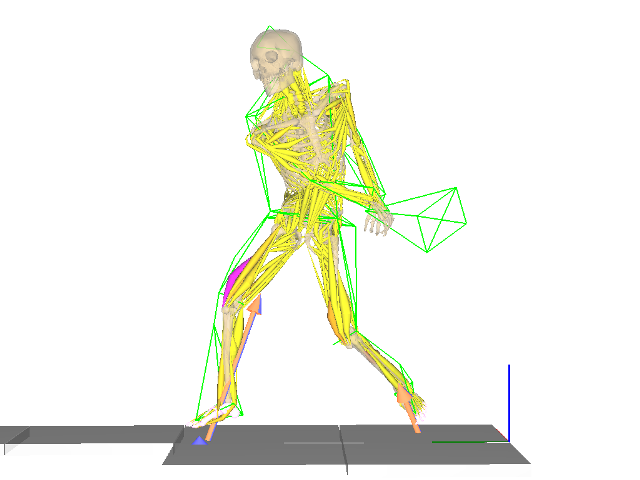 筋骨格モデル動作解析ソフト Nmotion Musculous 映像計測 ナック