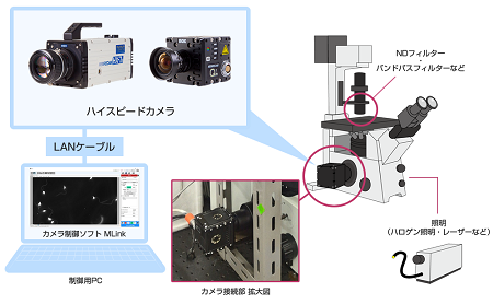 テーマで選ぶ「生命科学」