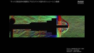 movie_lib
